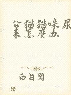 公猫猫咪尿不出来怎么办