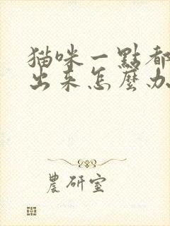 猫咪一点都尿不出来怎么办