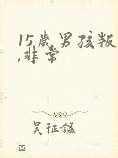 15岁男孩叛逆,非常