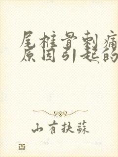 尾椎骨刺痛什么原因引起的封面