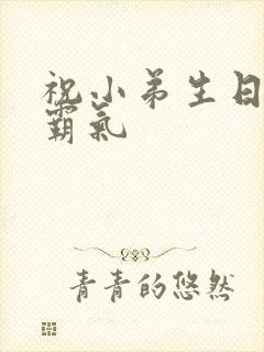 祝小弟生日短句霸气