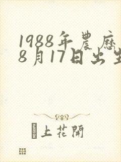 1988年农历8月17日出生的人的命运封面