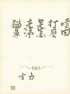 猫老是打喷嚏流鼻涕怎么回事