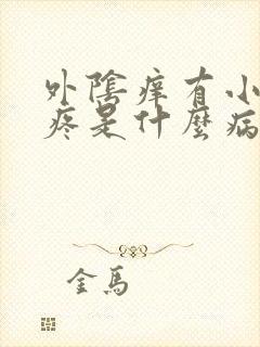 外阴痒有小疙瘩疼是什么病封面