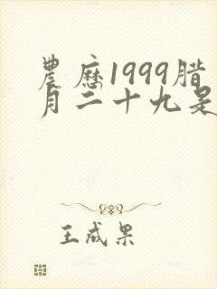 农历1999腊月二十九是啥命