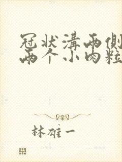 冠状沟两侧长了两个小肉粒