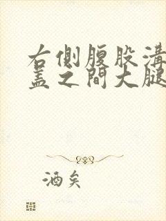 右侧腹股沟到膝盖之间大腿前面疼痛