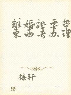 离婚证要带什么东西去办理