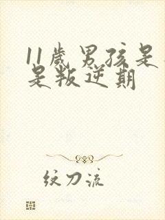 11岁男孩是不是叛逆期