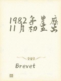 1982年农历11月初五出生人的命运