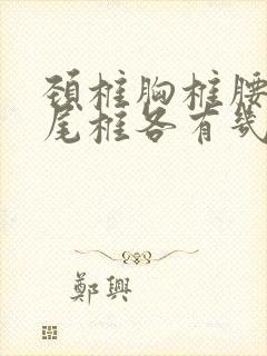 颈椎胸椎腰椎骶尾椎各有几节