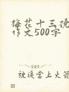 梅花十三挠脚心作文500字