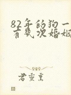 82年的狗一生有几次婚姻