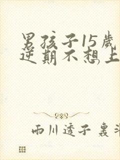 男孩子15岁叛逆期不想上学怎么办