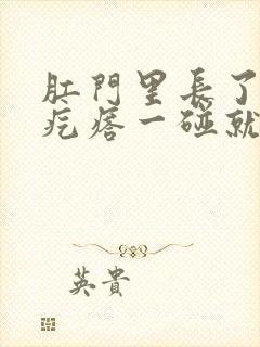 肛门里长了一个疙瘩一碰就疼