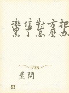 微信对方把你拉黑了怎么办封面