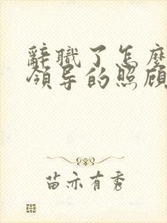 辞职了怎么感谢领导的照顾的话语