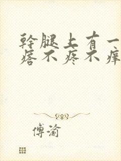 干腿上有一硬疙瘩不疼不痒