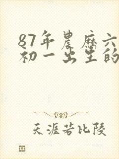 87年农历六月初一出生的命运