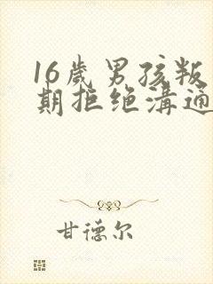 16岁男孩叛逆期拒绝沟通封面