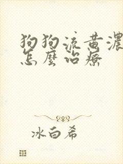 狗狗流黄浓鼻涕怎么治疗