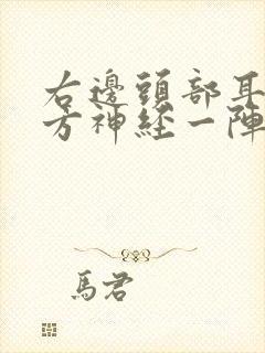 右边头部耳朵上方神经一阵阵痛