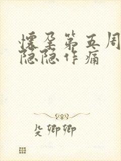 怀孕第五周肚子隐隐作痛