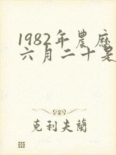 1982年农历六月二十是什么命