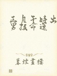 正月午时出生的男孩命运