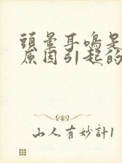 头晕耳鸣是什么原因引起的 男性