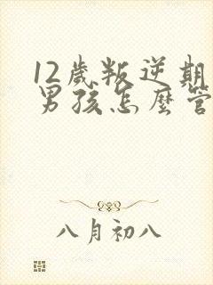 12岁叛逆期的男孩怎么管