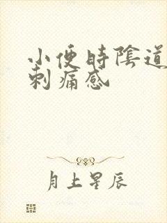 小便时阴道口有刺痛感