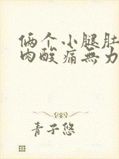 俩个小腿肚子肌肉酸痛无力抽筋封面