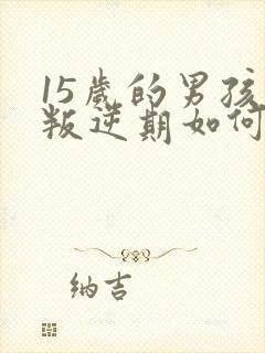 15岁的男孩子叛逆期如何去管教封面