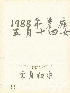 1988年农历五月十四女命运