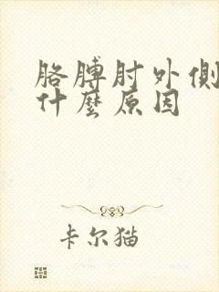 胳膊肘外侧疼是什么原因