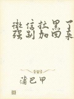 微信拉黑了怎么强制加回来