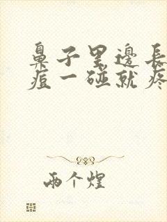 鼻子里边长了个痘一碰就疼