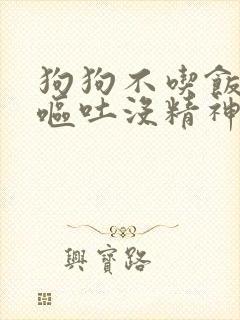 狗狗不吃饭拉稀呕吐没精神怎么治疗