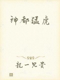 神都猛虎封面