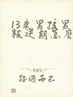 13岁男孩男孩叛逆期怎么办封面