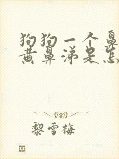 狗狗一个鼻孔流黄鼻涕是怎么回事封面