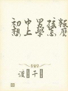 初中男孩叛逆不想上学怎么办封面