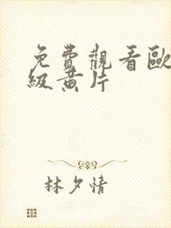 免费观看欧美一级黄片封面