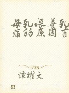 母乳喂养乳房疼痛的原因有哪些封面