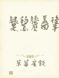 腿的膝盖后面痛是怎么回事