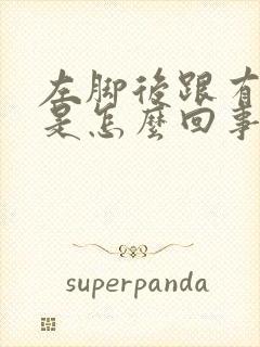 左脚后跟有时疼是怎么回事封面