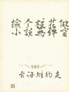 捡个校花做老婆小说无弹窗封面