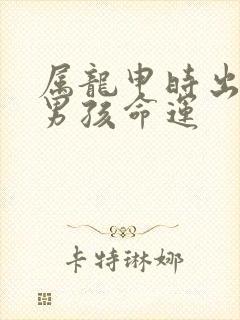 属龙申时出生的男孩命运