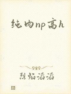 纯肉np高h封面